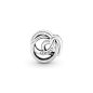 Pandora "Család mindörökké" charm 791507C00